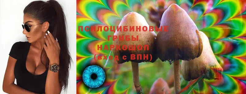 Галлюциногенные грибы Magic Shrooms Верхняя Тура